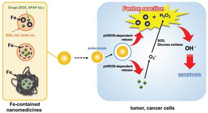 Will cesium chloride cure cancer?