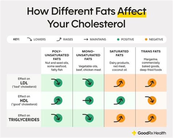 Will cholesterol make you fat?