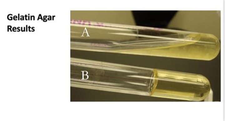 Will gelatin set at room temperature?