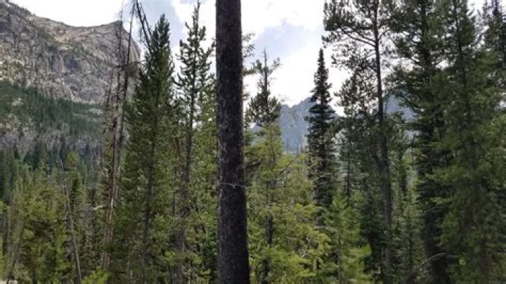 Will god say well done?