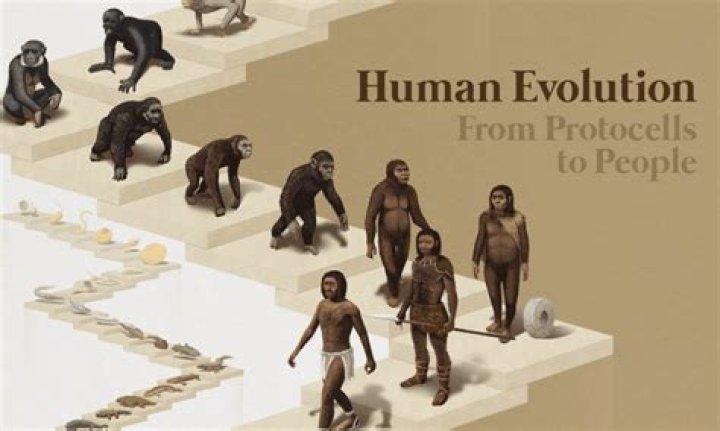 Will humans evolve into different species?