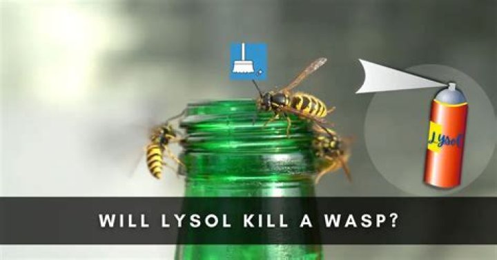 Will lysol kill a wasp?