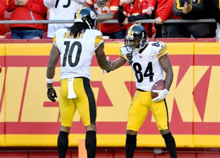 Will martavis bryant play again?