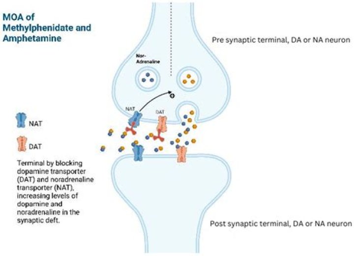 Will methylphenidate keep you awake?