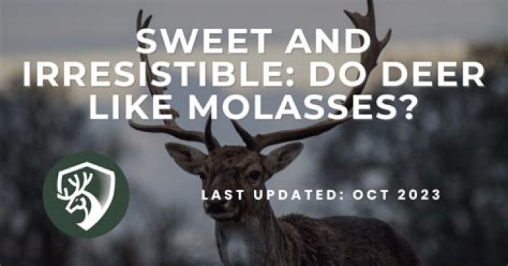 Will molasses attract deer?
