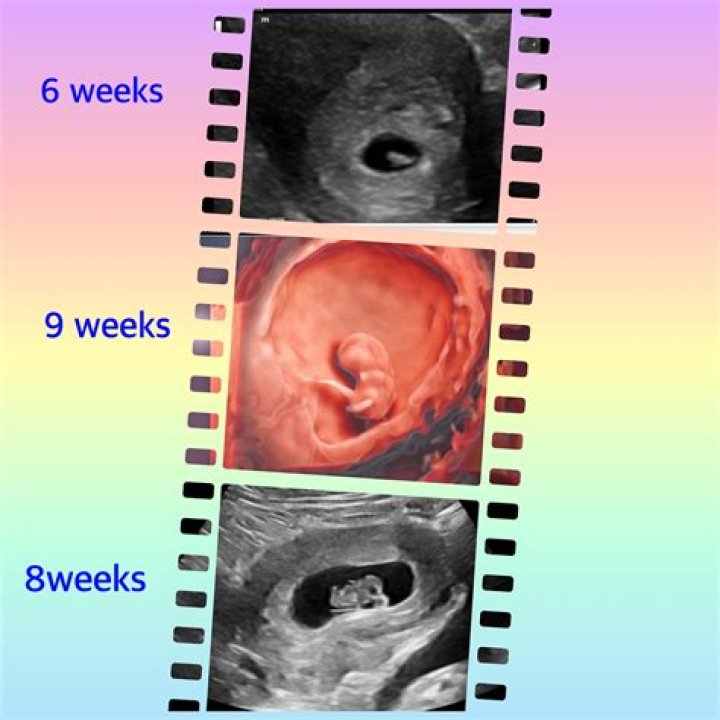 Will my ob deliver my baby?
