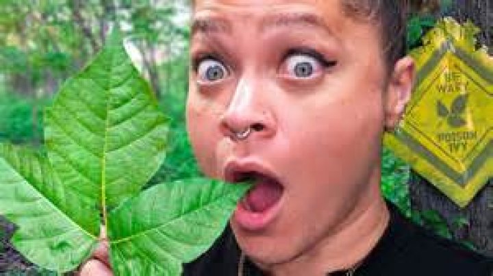 Will rats eat poison?