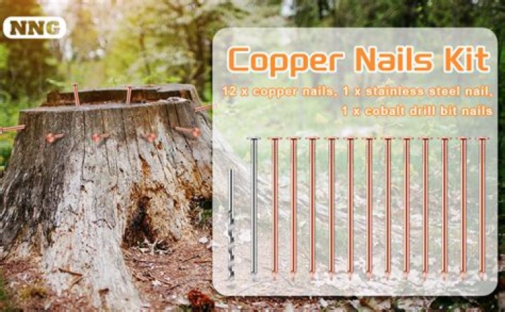 Would a copper nail kill a tree?