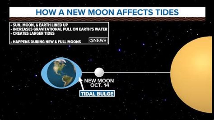 Would there be tides without the moon?
